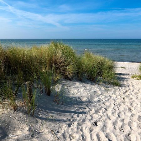 Daenische Ferienhaeuser Am Salzhaff Haus Kaept'N Nemo Insel Poel Kültér fotó